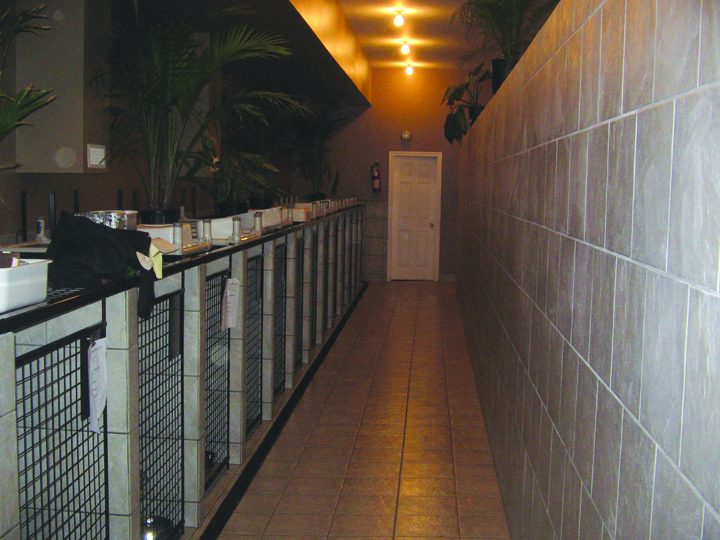 kennels 1